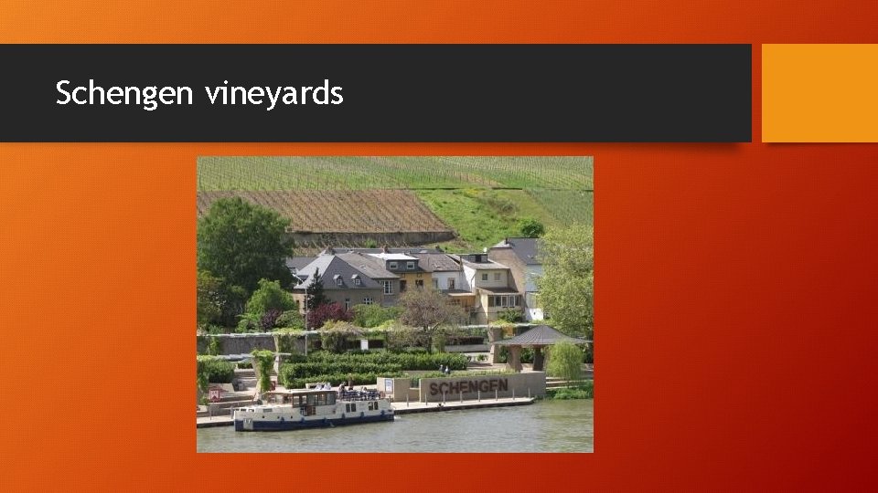 Schengen vineyards Schengen vineyards