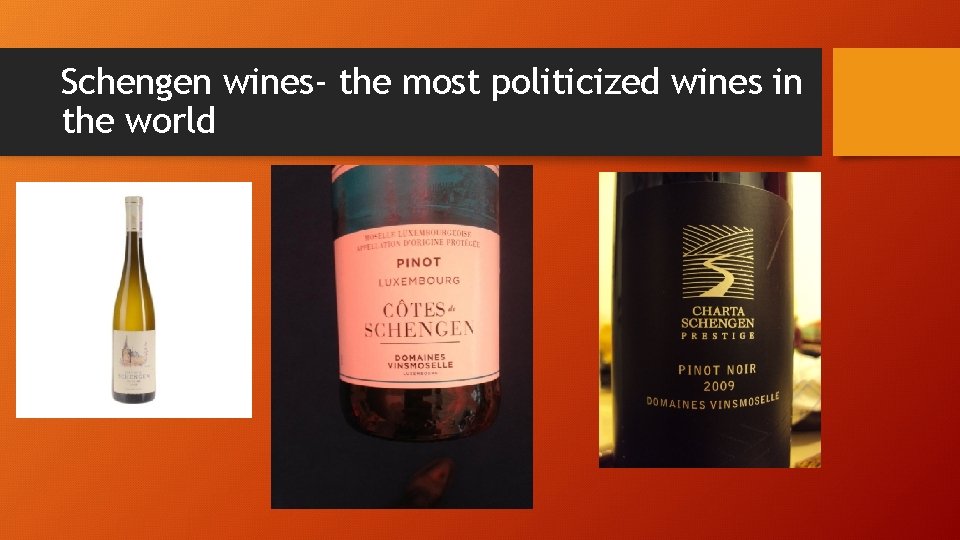 Schengen wines- the most politicized wines in the world Schengen wines- the most politicized wines in the world
