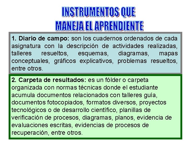 1. Diario de campo: son los cuadernos ordenados de cada asignatura con la descripción