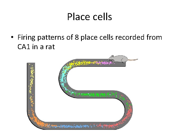 Memory neurobiology Nisheeth Apr 16 th 2019 Amnesias