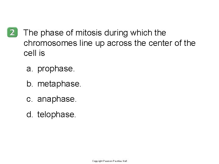 10 -2 The phase of mitosis during which the chromosomes line up across the