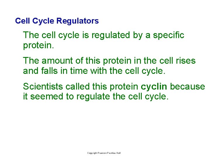 Cell Cycle Regulators The cell cycle is regulated by a specific protein. The amount