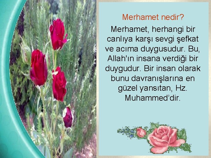 Merhamet nedir? Merhamet, herhangi bir canlıya karşı sevgi şefkat ve acıma duygusudur. Bu, Allah'ın