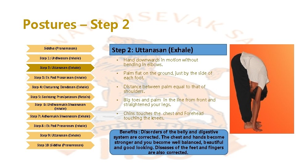 Postures – Step 2 Siddha (Pranamasan) Step 1: Urdhvasan (Inhale) Step 2: Uttanasan (Exhale)