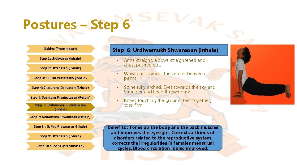 Postures – Step 6 Siddha (Pranamasan) Step 1: Urdhvasan (Inhale) Step 6: Urdhvamukh Shwanasan