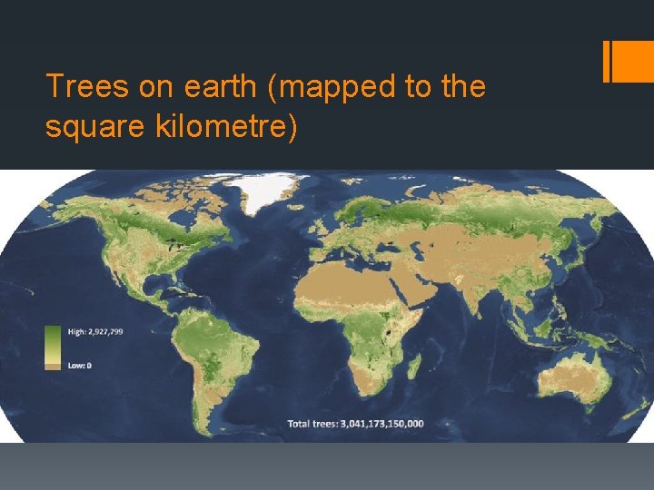 Trees on earth (mapped to the square kilometre) 