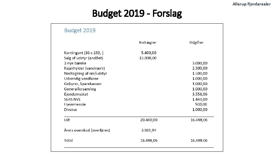 Budget 2019 - Forslag Allerup Fjordarealer 