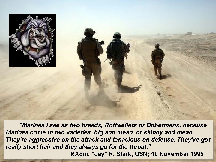  "Marines I see as two breeds, Rottweilers or Dobermans, because Marines come in
