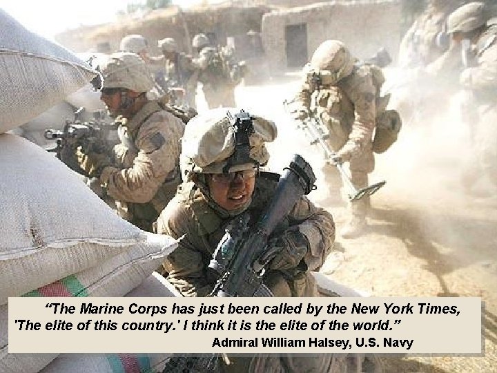  “The Marine Corps has just been called by the New York Times, 'The