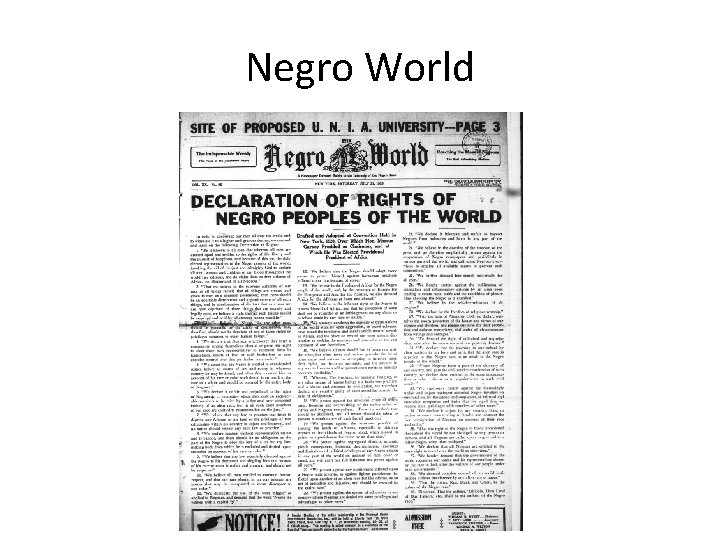 Negro World 