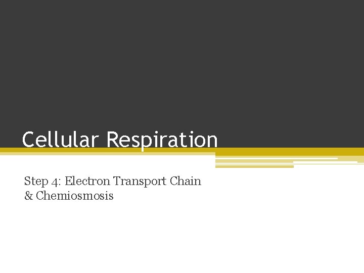 Cellular Respiration Step 4: Electron Transport Chain & Chemiosmosis 