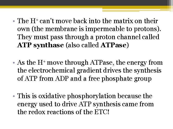  • The H+ can’t move back into the matrix on their own (the