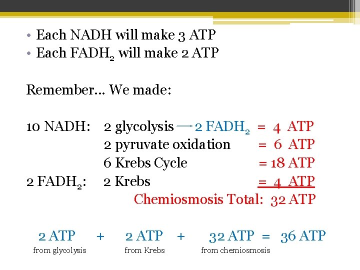  • Each NADH will make 3 ATP • Each FADH 2 will make