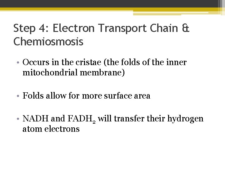 Step 4: Electron Transport Chain & Chemiosmosis • Occurs in the cristae (the folds