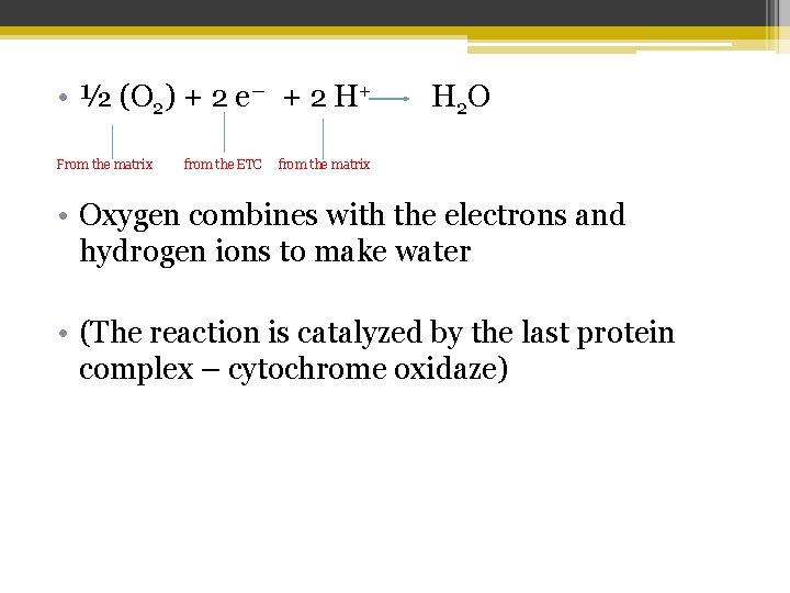  • ½ (O 2) + 2 e― + 2 H+ From the matrix