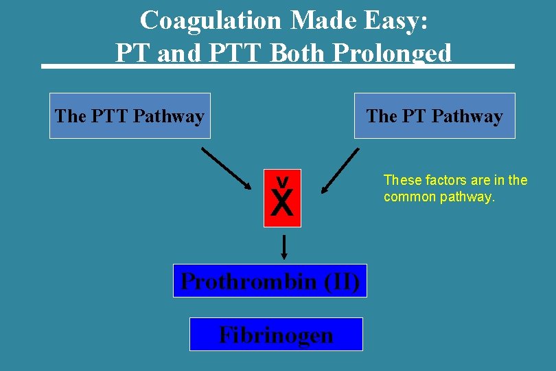 Coagulation Made Easy: PT and PTT Both Prolonged The PTT Pathway The PT Pathway