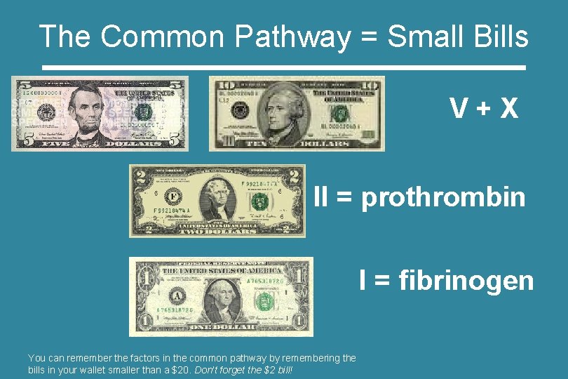 The Common Pathway = Small Bills V+X II = prothrombin I = fibrinogen You