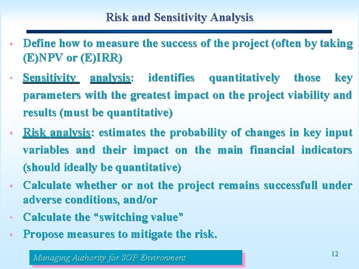 Risk and Sensitivity Analysis • Define how to measure the success of the project