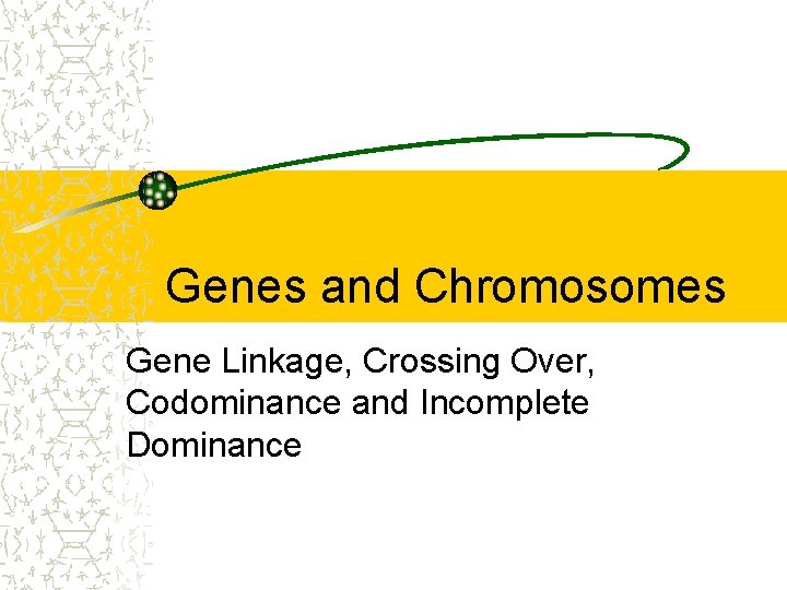 Genes and Chromosomes Gene Linkage, Crossing Over, Codominance and Incomplete Dominance 