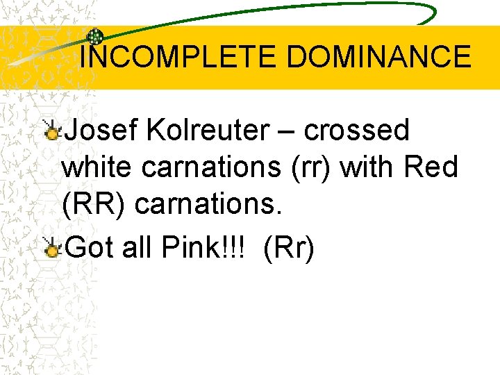 INCOMPLETE DOMINANCE Josef Kolreuter – crossed white carnations (rr) with Red (RR) carnations. Got