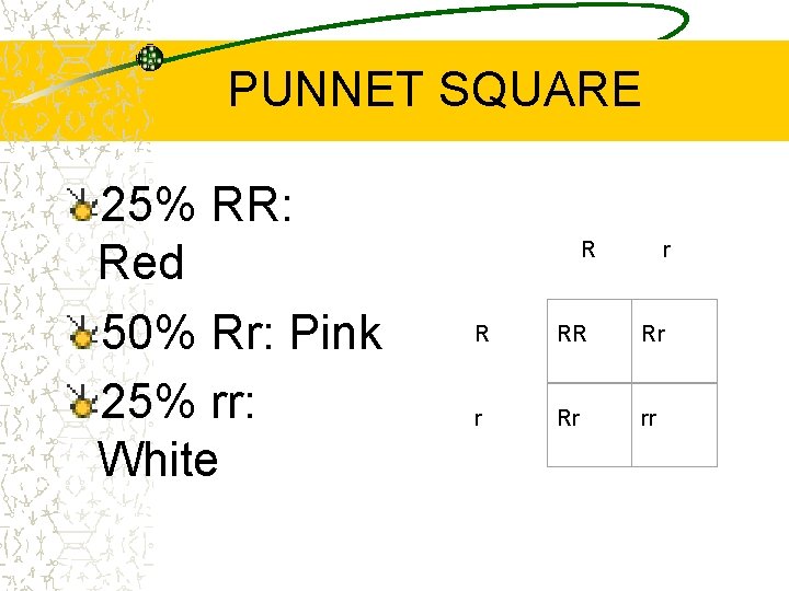 PUNNET SQUARE 25% RR: Red 50% Rr: Pink 25% rr: White R r R