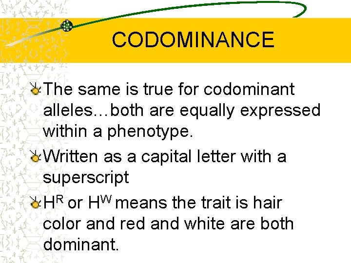 CODOMINANCE The same is true for codominant alleles…both are equally expressed within a phenotype.