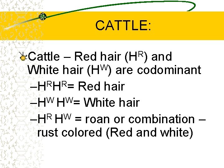 CATTLE: Cattle – Red hair (HR) and White hair (HW) are codominant –HRHR= Red