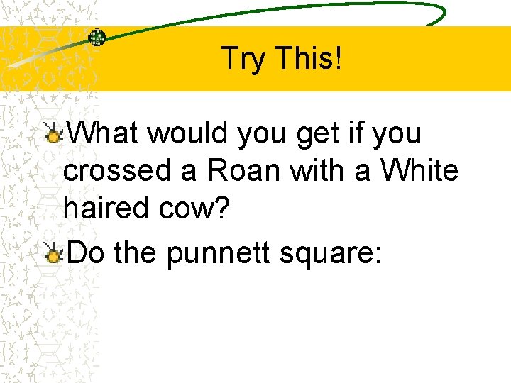 Try This! What would you get if you crossed a Roan with a White