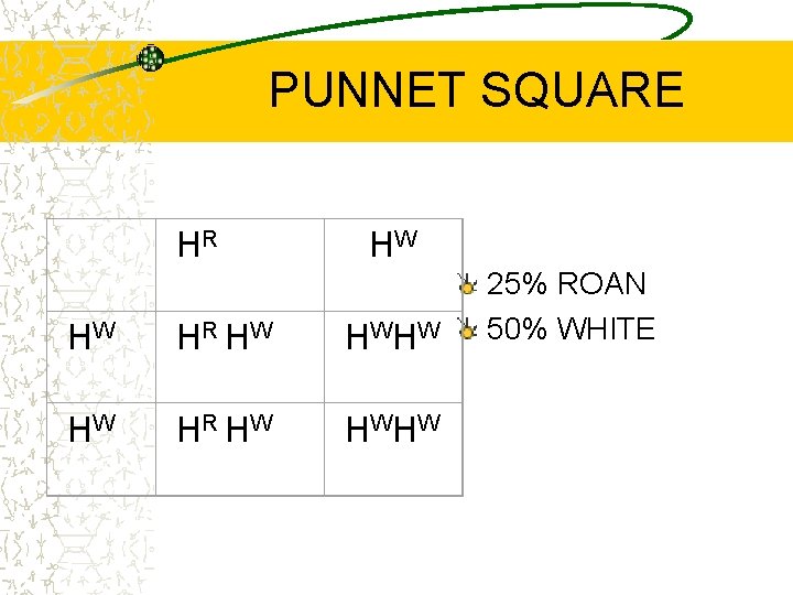 PUNNET SQUARE HR HW HW HR HW HW HW 25% ROAN 50% WHITE 