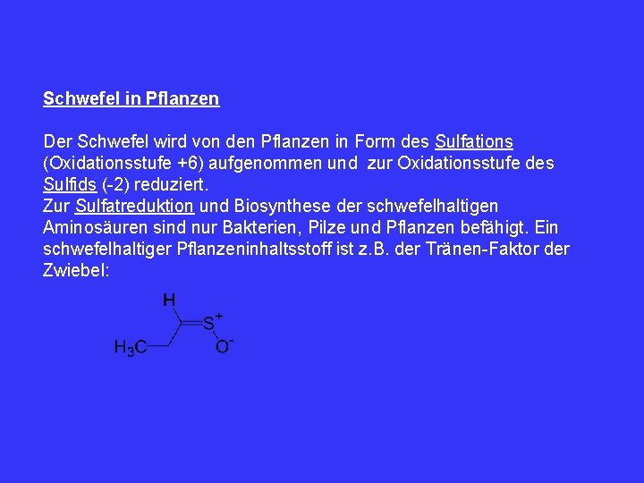 Schwefel in Pflanzen Der Schwefel wird von den Pflanzen in Form des Sulfations (Oxidationsstufe