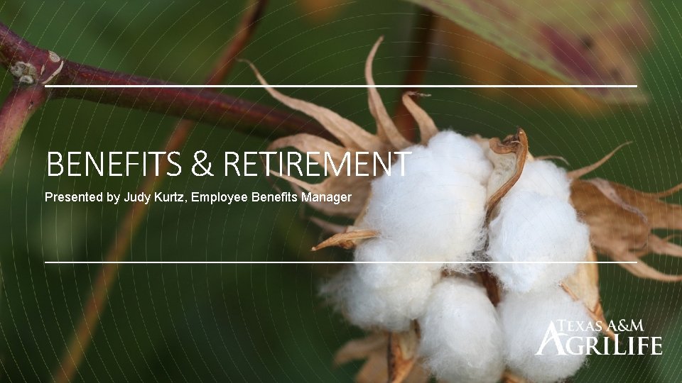 BENEFITS & RETIREMENT Presented by Judy Kurtz, Employee Benefits Manager 
