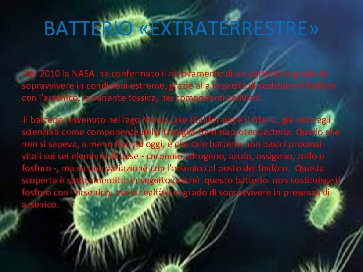 BATTERIO «EXTRATERRESTRE» Nel 2010 la NASA ha confermato il ritrovamento di un batterio in