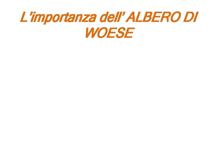 L’importanza dell’ ALBERO DI WOESE • Rita Levi Montalcini afferma che l’importanza di questa