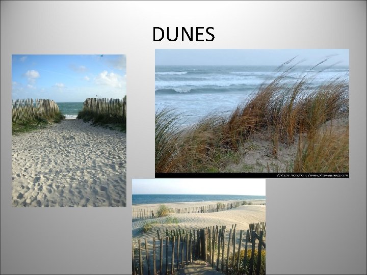 DUNES 