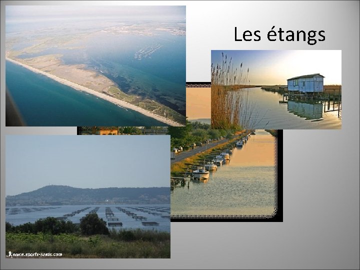  Les étangs 