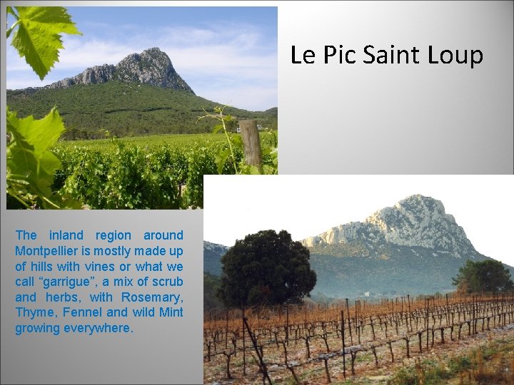 Le Pic Saint Loup The inland region around Montpellier is mostly made up of