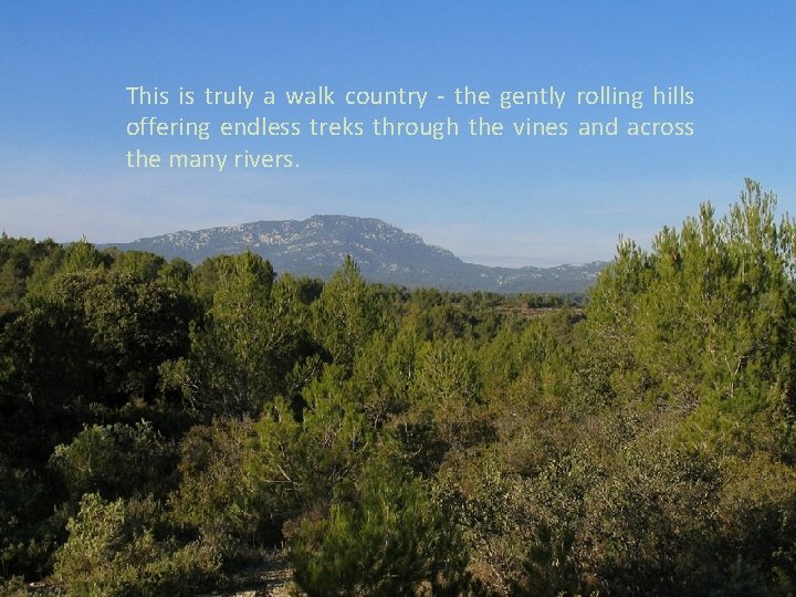This is truly a walk country - the gently rolling hills offering endless treks