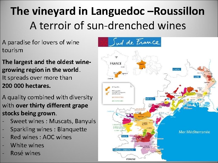The vineyard in Languedoc –Roussillon A terroir of sun-drenched wines A paradise for lovers