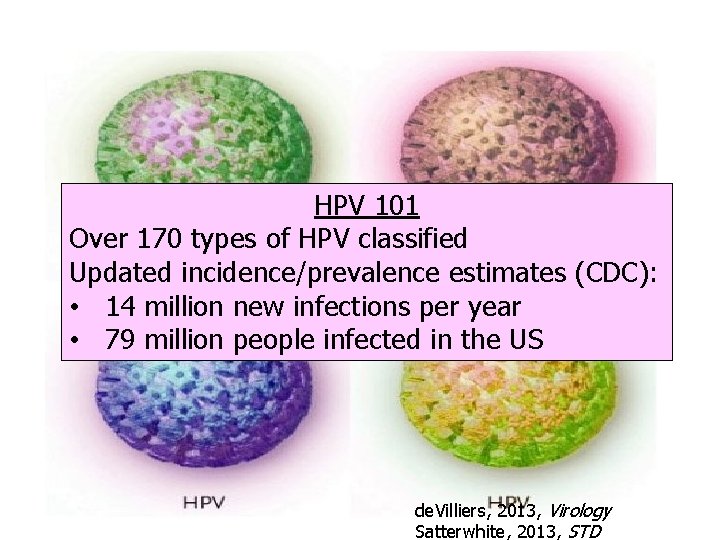 HPV 101 Over 170 types of HPV classified Updated incidence/prevalence estimates (CDC): • 14