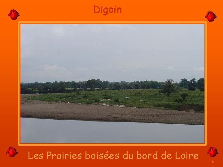 Digoin Les Prairies boisées du bord de Loire JF 