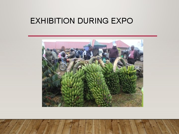 EXHIBITION DURING EXPO 