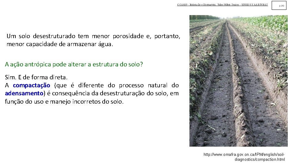 CCA 039 - Irrigação e Drenagem. Tales Miler Soares - UFRB/CCAAB/NEAS p. 30 Um