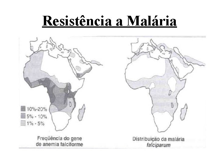 Resistência a Malária 