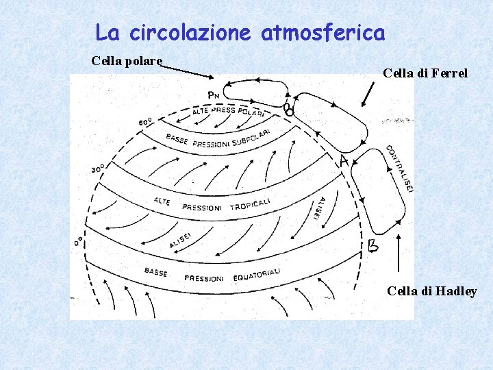 La circolazione atmosferica Cella polare Cella di Ferrel Cella di Hadley 