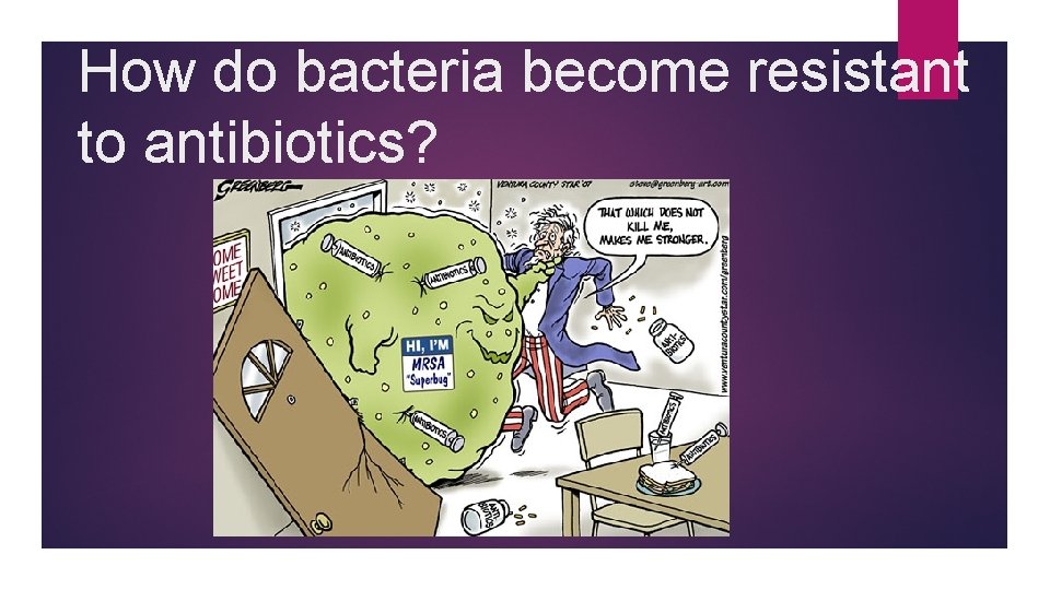 How do bacteria become resistant to antibiotics? 