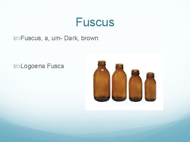 Fuscus, a, um- Dark, brown Logoena Fusca 