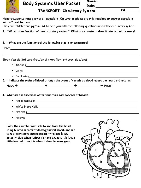 Name: ____________ Date: ____________ Pd. _______ TRANSPORT: Circulatory System Body Systems Über Packet Honors