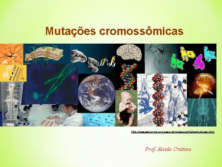 Mutações cromossômicas http: //mapadocrime. com. sapo. pt/mutacoes%20 estruturais. html Prof. Aleide Cristina 