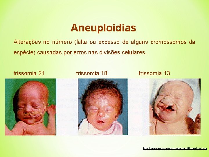 Aneuploidias Alterações no número (falta ou excesso de alguns cromossomos da espécie) causadas por