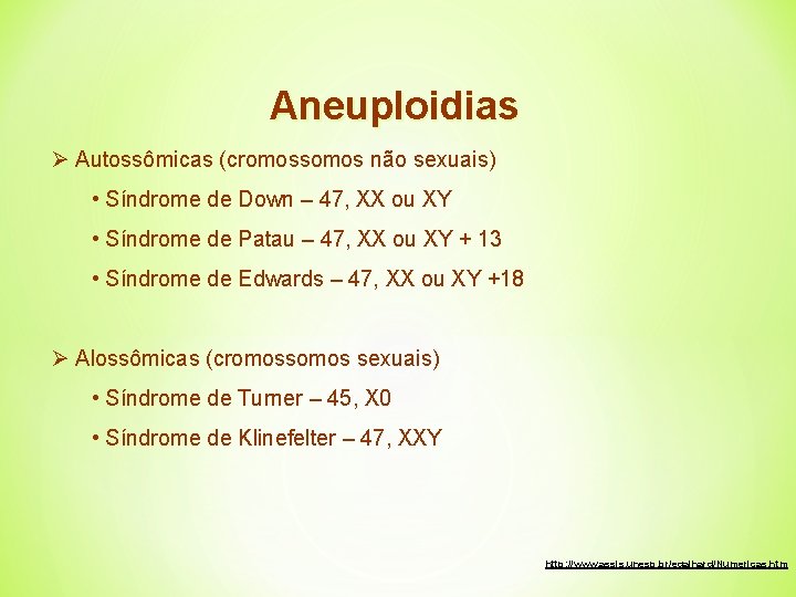 Aneuploidias Ø Autossômicas (cromossomos não sexuais) • Síndrome de Down – 47, XX ou